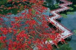 让广州记忆更美，越秀部分老公园将迎来升级改造 - 广东大洋网