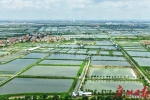 “逆势”增长6.2%！广州这个农业强区是怎样炼成的 - 广东大洋网