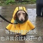 雷雨不断！周末又有台风？广州的雨到底要下到什么时候？ - 广东大洋网