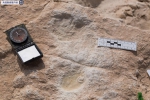 沙特遗产委员会：发现距今12万年前的人类脚印 - News.Timedg.Com