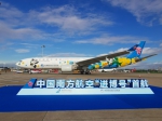 南航进博会主题彩绘飞机“进博号”在广州亮相 - 广东大洋网