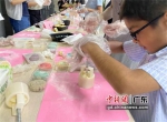 体验亲手制作月饼的乐趣。林大森供图 - 中国新闻社广东分社主办