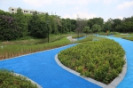 广州大学城25公里碧道建成，中心湖人才公园将开放 - 广东大洋网