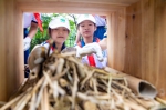 好消息！海珠中小学生今后在本区就可以学农了！ - 广东大洋网
