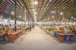 岭南花卉市场将打造16万平方米花卉产业综合体 - 广东大洋网