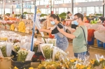 岭南花卉市场将打造16万平方米花卉产业综合体 - 广东大洋网