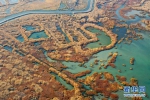 （美丽中国）（1）新疆玛纳斯：秋日湿地画卷 - News.21cn.Com