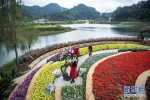 （图文互动）（3）以自然之道，养万物之生——第四届中国绿化博览会亮点扫描 - News.21cn.Com