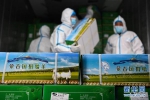 首批已加工蒙古国捐赠羊开始运往湖北 - News.21cn.Com