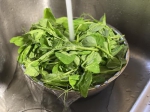一碗豌豆尖汤，是冬季最诱人的绿色 - News.Timedg.Com