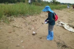 东莞：志愿者周末清理垃圾，共建共享“美丽海滩” - News.Timedg.Com