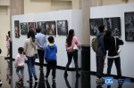 2020东莞市民摄影周：4个场馆推出20多个主题摄影展览 - News.Timedg.Com