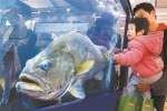 200多种水产品亮相中国水产种业博览会 - 广东大洋网