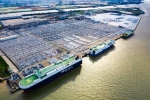 广州南沙：成功从保税港区转型升级为综合保税区 - 广东大洋网