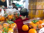 又一批供港澳品质农产品走进广州市民“菜篮子” - 广东大洋网