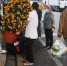 迎春鲜花不愁买！广州花市线下售卖点增至331个 - 广东大洋网