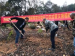 广州白云发起绿化造林，首批栽种2400株优质树苗 - 广东大洋网