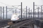 今年春运40天广铁运客4065万人次，货运增幅创新高 - 广东大洋网