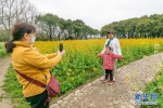 上海：春分时节百花开 踏青赏花正当时 - News.21cn.Com