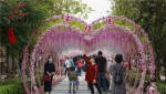 丰华园樱花节首日逾万人打卡，这里有免费门票攻略 - 广东大洋网
