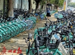 @广州街坊，征求意见啦！关于互联网租赁自行车的 - 广东大洋网