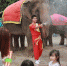 东莞香市动物园举办泼水狂欢节活动，将持续至5月5日 - News.Timedg.Com
