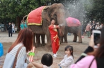 东莞香市动物园举办泼水狂欢节活动，将持续至5月5日 - News.Timedg.Com