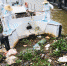 广州水上城管2日内清理1.6吨弃河腐烂猪肉 - 广东大洋网