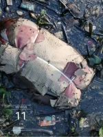 广州水上城管2日内清理1.6吨弃河腐烂猪肉 - 广东大洋网