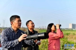 这里何以成为600万只鸟儿的“家园”——探访黄河三角洲的生态保护 - News.21cn.Com