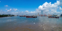 广州河湖长制工作考核结果公布：黄埔南沙海珠获通报表扬 - 广东大洋网