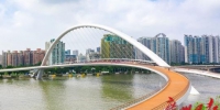 海心桥起名者是他！首批登桥市民一路激动“打卡” - 广东大洋网