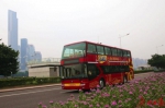 广州观光巴士7月1日恢复运营，将推出6折特惠票 - 广东大洋网