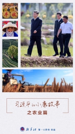 习近平的小康故事丨“中国人的饭碗任何时候都要牢牢端在自己手上” - News.21cn.Com