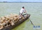 　　渔民驾着小艇放虾笼。新华网发（梁平 摄） - 新浪广东