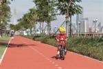 广州碧道已建成609公里，斩获两个国际设计奖项 - 广东大洋网