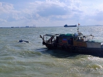 珠江口一快艇翻扣，广州海事紧急救助落水人员 - 广东大洋网