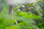 雷雨天气劈头盖脸说来就来，中秋小长假天气尚存变数 - 广东大洋网