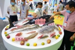 广州渔博会开幕，去年广东水产品总产量居全国第一 - 广东大洋网