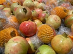 “双节”来了，新品水果成送礼佳品 - 广东大洋网