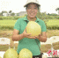 韶关农民展示优质柚子。通讯员供图 - 中国新闻社广东分社主办