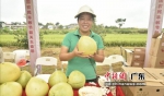 韶关农民展示优质柚子。通讯员供图 - 中国新闻社广东分社主办