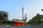 乘观光巴士游广州，国庆期间加大发班密度 - 广东大洋网