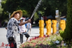 广州最高气温连续10天超34℃，周四起雷雨活跃 - 广东大洋网