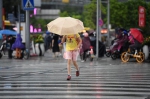 “狮子山”登陆，今日广州降雨仍明显 - 广东大洋网