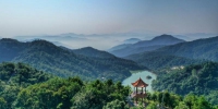 白江湖森林公园恢复开放 - 广东大洋网