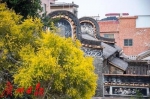 广州这座800年古村，迈进文旅融合发展！ - 广东大洋网