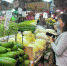 菜比肉贵？广州部分蔬菜“身价”翻了一倍 - 广东大洋网