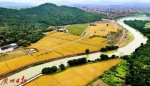 《广州市排水条例》明年3月起实施：新建区域实行雨污分流，阳台、露台设污水管 - 广东大洋网