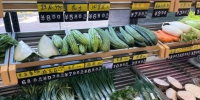 广州：主力品种蔬菜价格基本稳定 - 广东大洋网